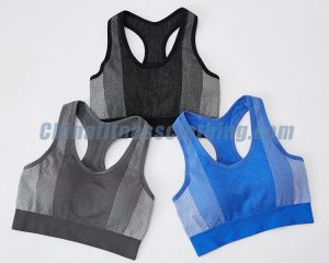 Wholesale padded push sports bra manufacturer - Padded Push Up Sports Bra - Wholesale Fitness Clothing Manufacturer