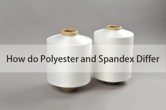 How do Polyester and Spandex Differ
