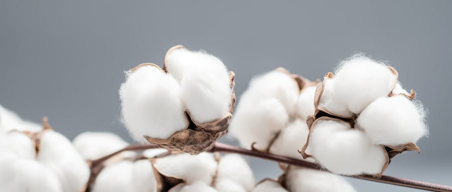 What is Synthetic Cotton